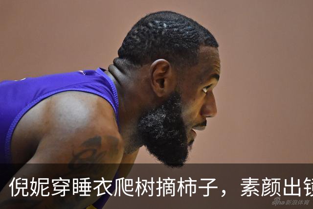 倪妮穿睡衣爬树摘柿子，素颜出镜惊呆网友