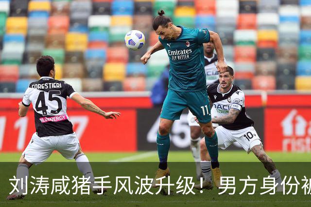 刘涛"咸猪手"风波升级！男方身份被扒，陈都灵、谷爱凌都是受害者