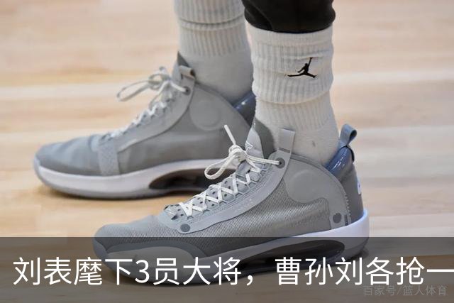 刘表麾下3员大将，曹孙刘各抢一个，刘抢得最猛，孔明也十分忌惮！