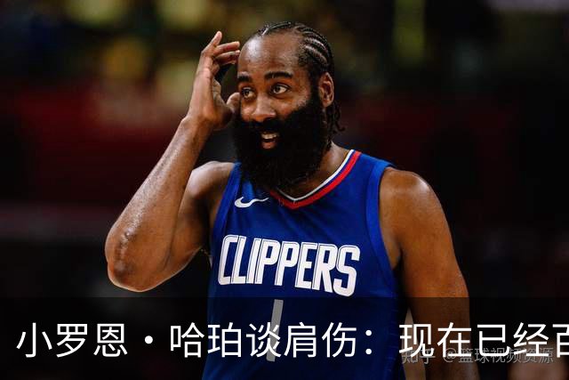 小罗恩·哈珀谈肩伤：现在已经百分之百痊愈