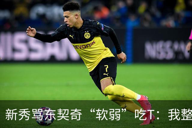 新秀骂东契奇“软弱”吃T：我整场都在说他打不了我