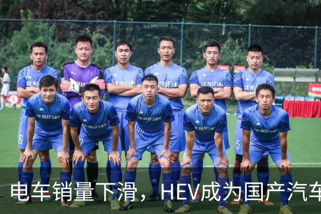 电车销量下滑，HEV成为国产汽车增长发动机，继续挑战丰田