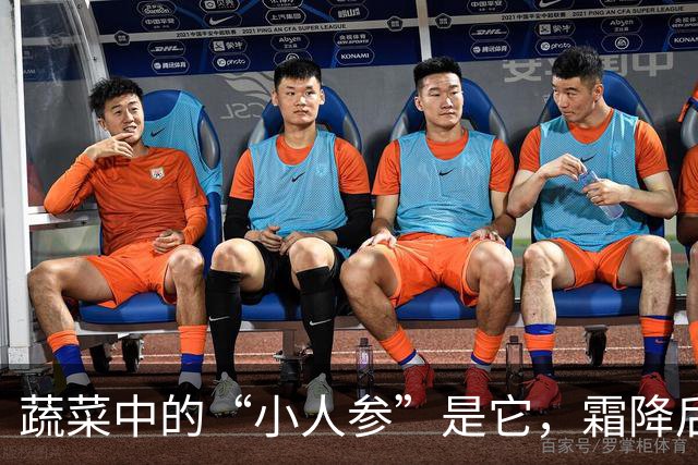 蔬菜中的“小人参”是它，霜降后常吃，一补充维生素，二提高免疫力，三低热量