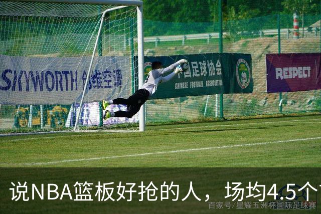 说NBA篮板好抢的人，场均4.5个前板排第4